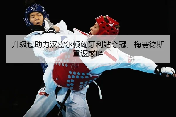 sheng-ji-bao-zhu-li-han-mi-er-dun-xiong-ya-li-zhan-duo-guan-mei-sai-de-si-chong-fan-dian-feng-2-964.jpg